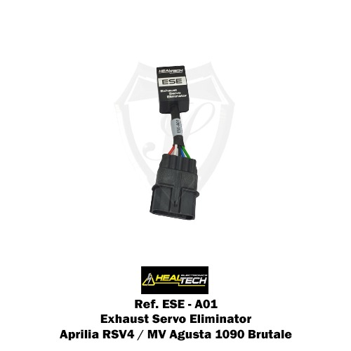 WhatsApp Image 2024-02-29 at 00.15.02